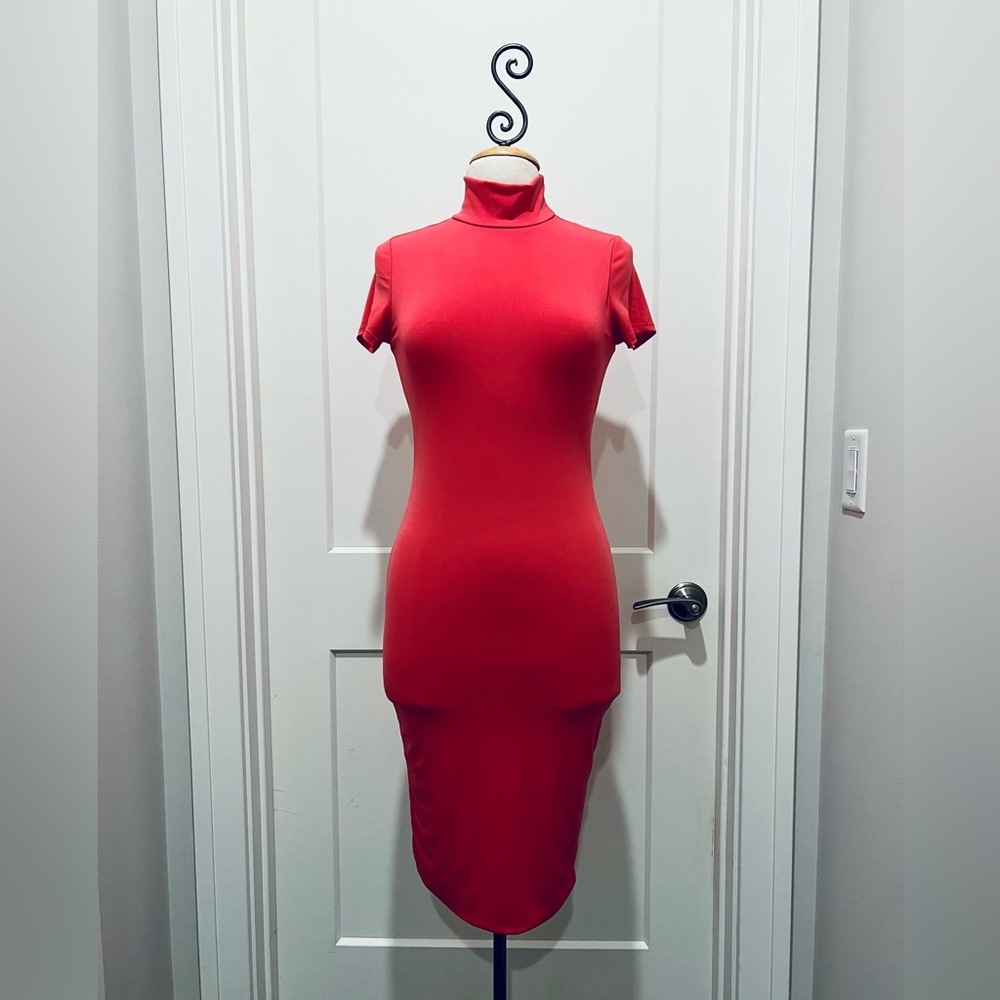 Fashion Nova Bodycon Dress